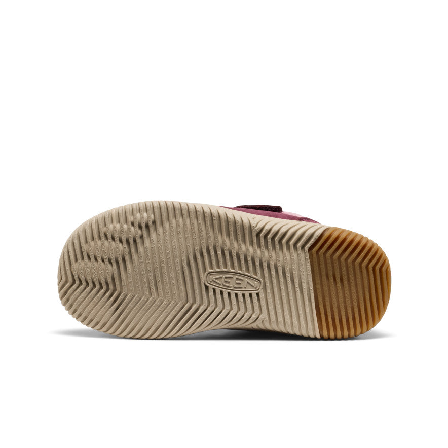 Fig/Lilas