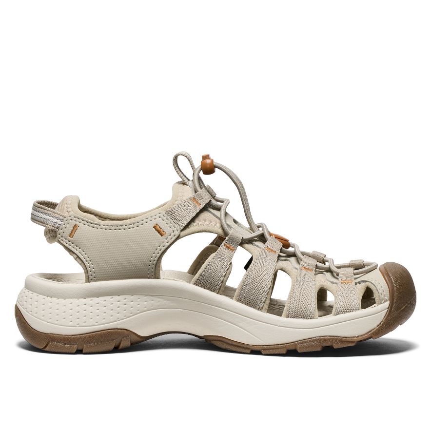 Astoria West Dames Wandelsandalen PLAZA TAUPE-ROASTED PECAN -  7