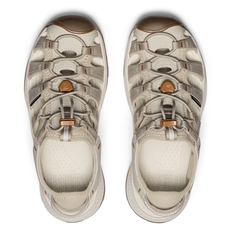 Astoria West Dames Wandelsandalen PLAZA TAUPE-ROASTED PECAN -  4