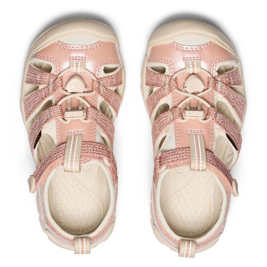 Pink/Gold