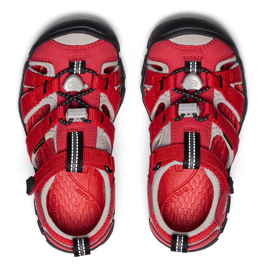 Ribbon/ Red Alloy
