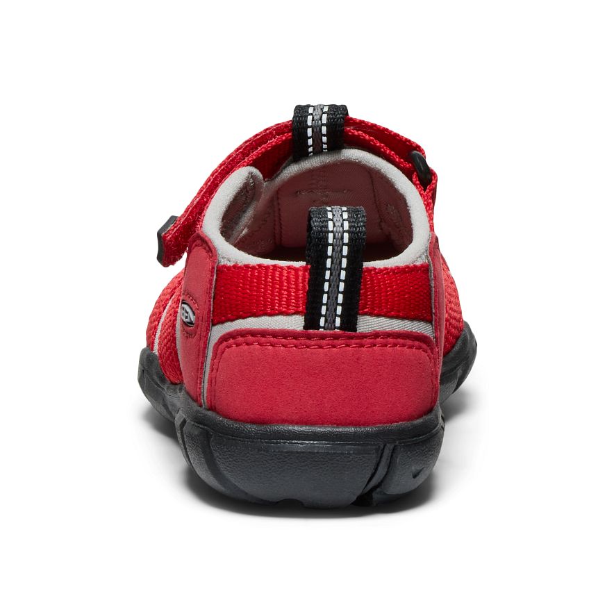 Ribbon/ Red Alloy
