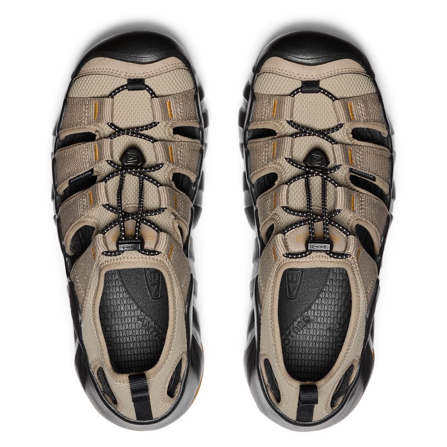 BRINDLE-BLACK