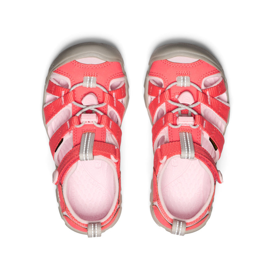 Dubarry/Giggle Pink