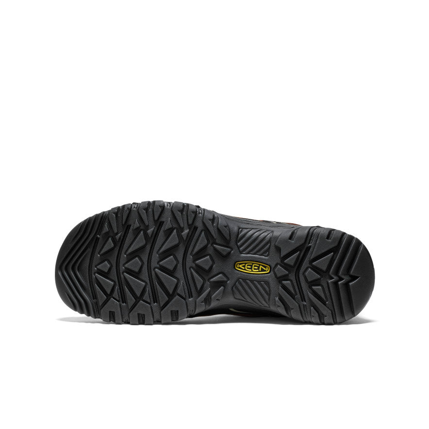 Targhee IV Heren Wandelschoenen Bison/Black