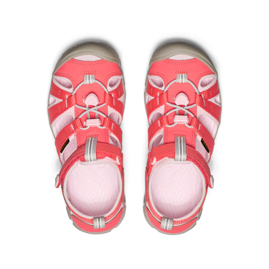 Dubarry/Giggle Pink