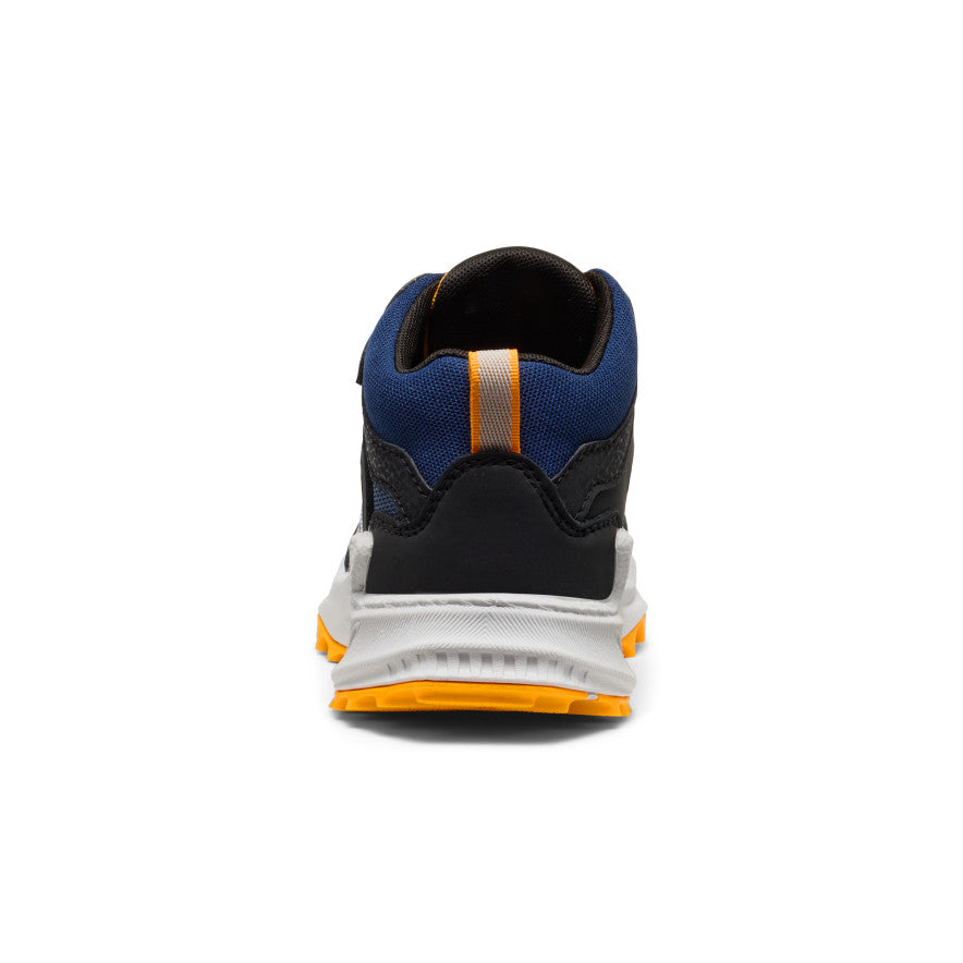 Naval Academy/Bright Marigold