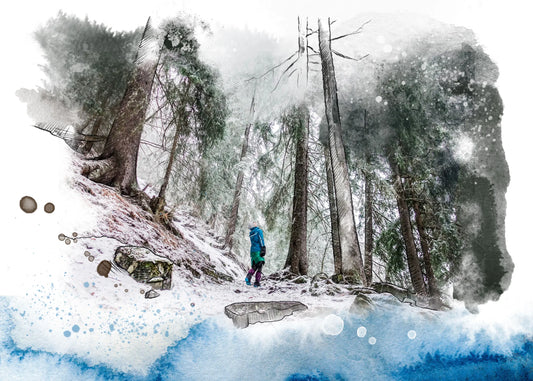 Jaar in balans: hoe wandelen helpt om mentaal te ontladen