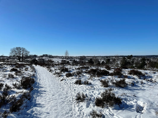 10 tips voor een fijne winterwandeling