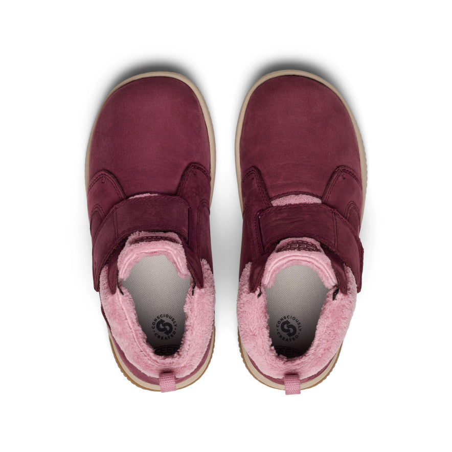 Fig/Lilas