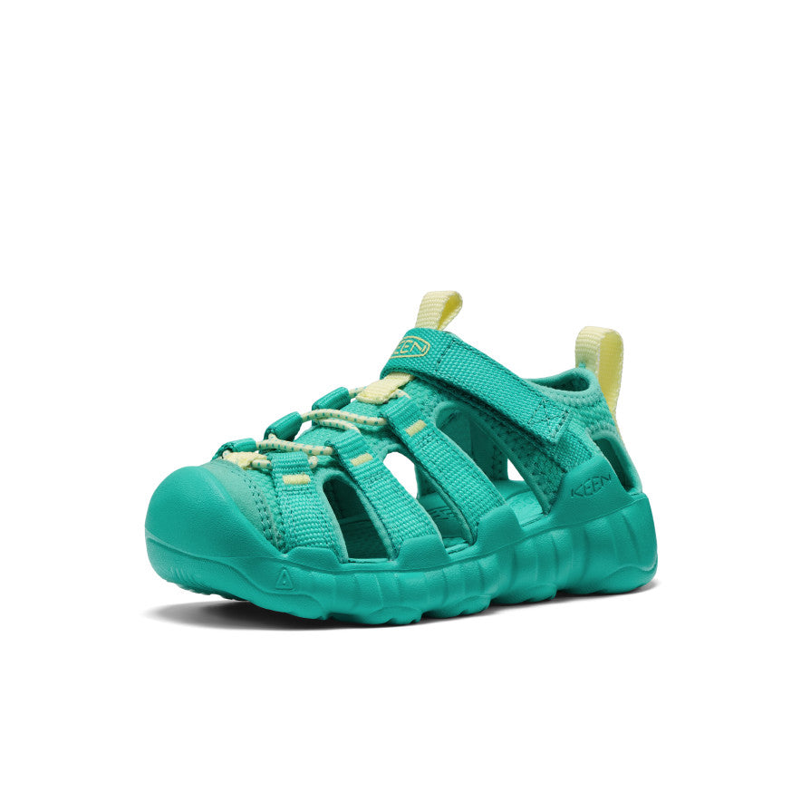 Bright Aqua/Wax Yellow