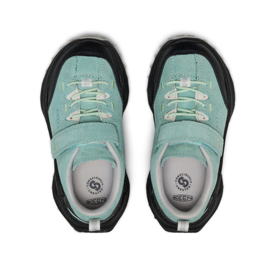Aquifer/Scenic Green