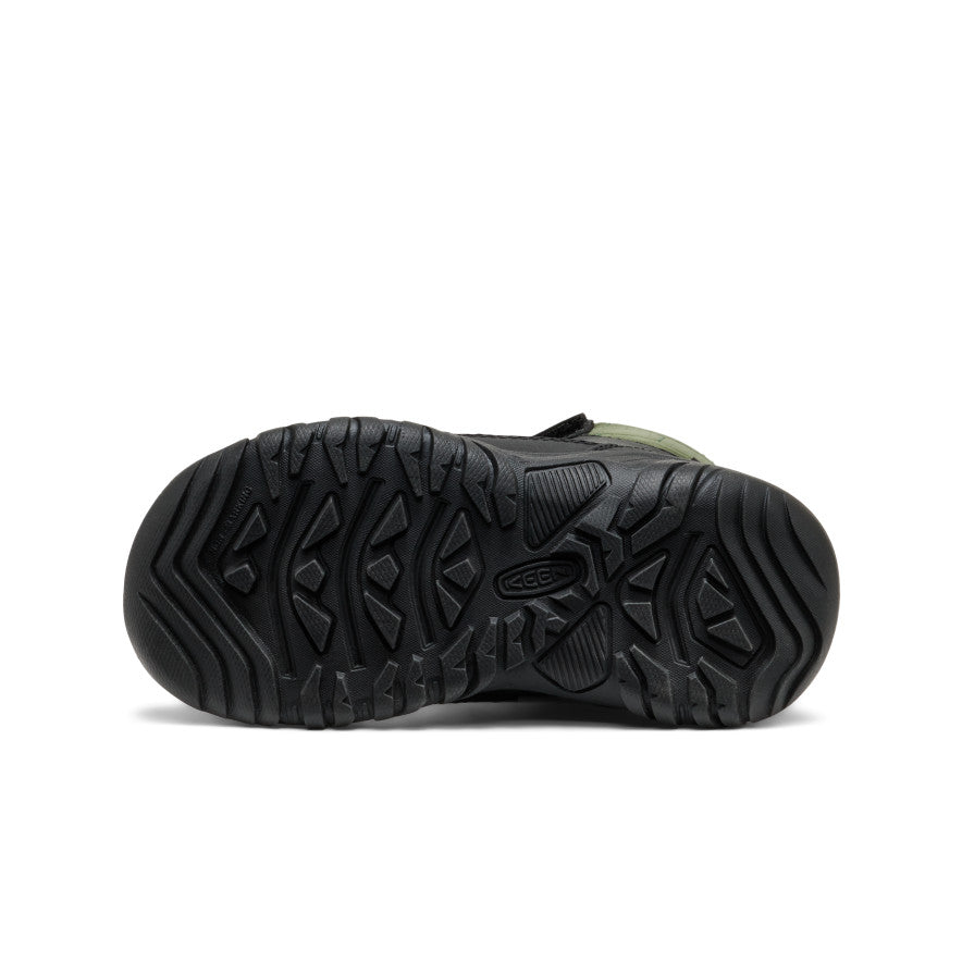 Black/Bronze Green
