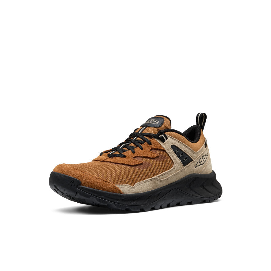 Chipmunk/Safari