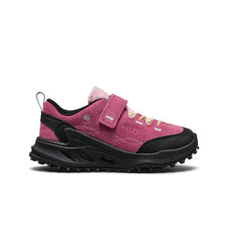 Paars/Roze