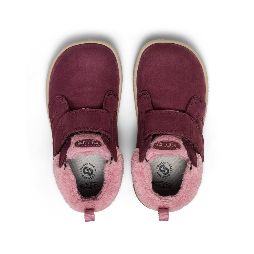 Fig/Lilas