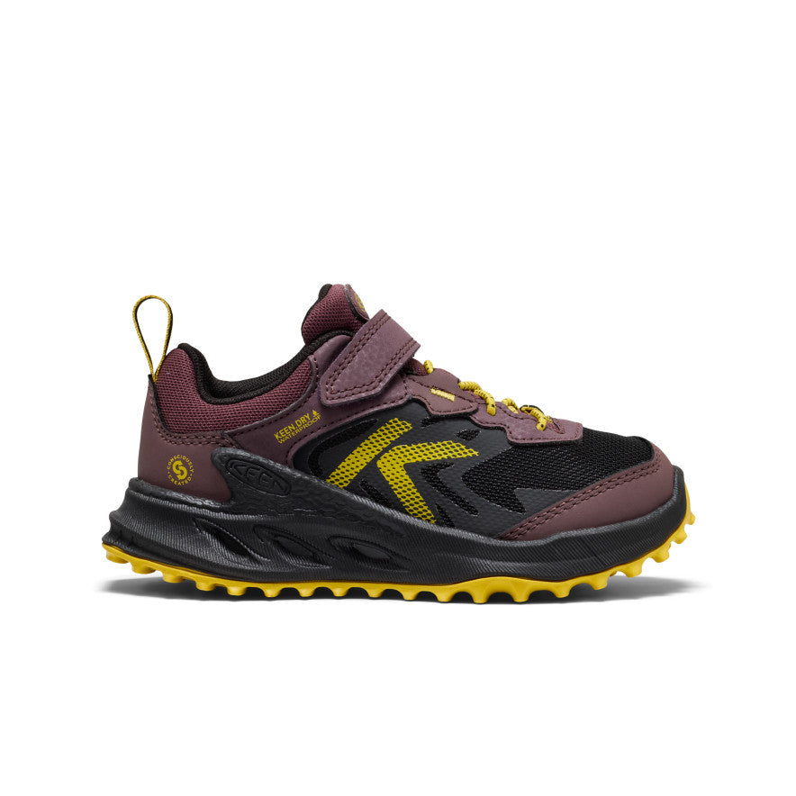 Huckleberry/Black