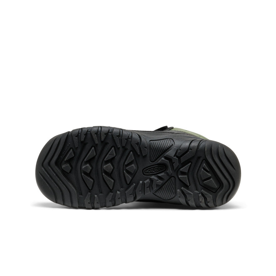 Black/Bronze Green