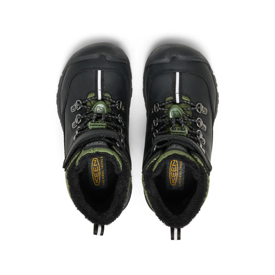 Black/Bronze Green