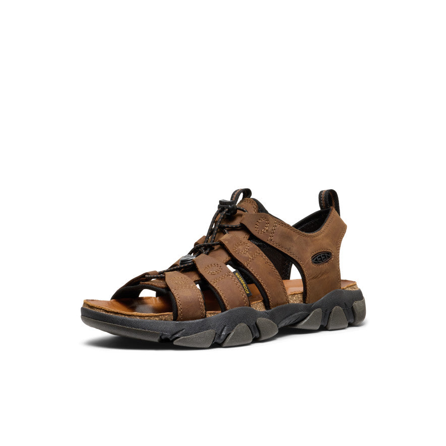 Bison/Black