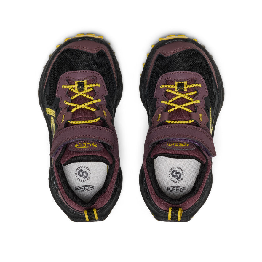 Huckleberry/Black