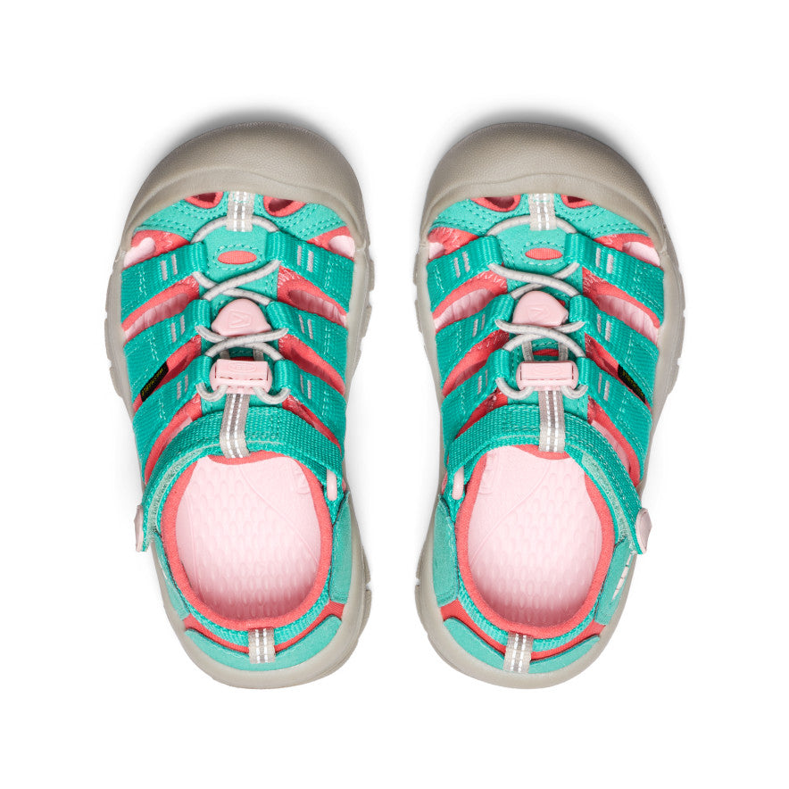 Bright Aqua/Giggle Pink